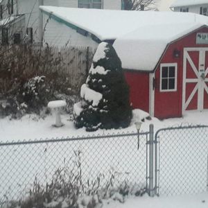 Meet your Posher, Debbie